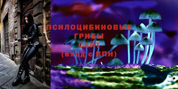 дживик Абаза
