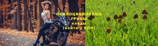 прущие крисы Абдулино