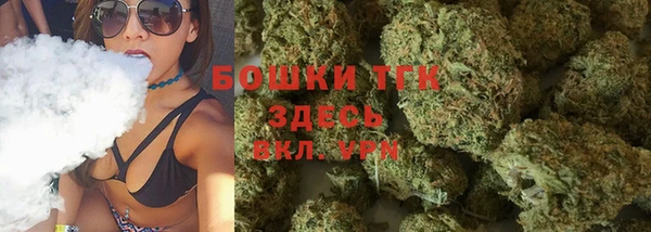 дживик Абаза